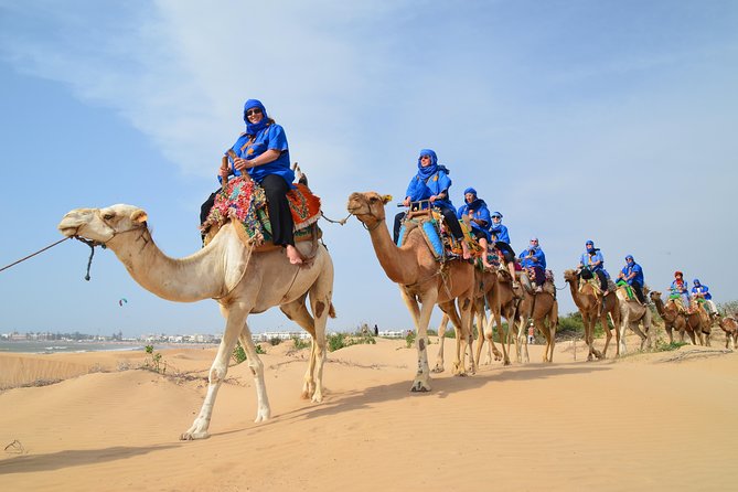 Essaouira 2-Hour Camel Adventure Ride - Riding along Essaouira’s first beach