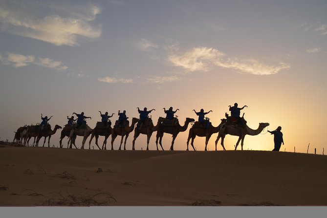 Essaouira 2-Hour Camel Adventure Ride - From dunes to the forest area