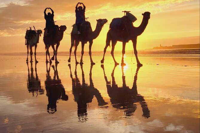 Essaouira 2-Hour Camel Adventure Ride - Meeting Mostafa and getting comfortable