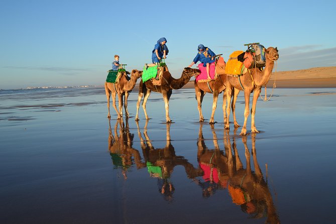 Essaouira 2-Hour Camel Adventure Ride - Is $40.71 a fair price?