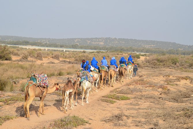 Essaouira 2-Hour Camel Adventure Ride - Choosing the best time for the ride