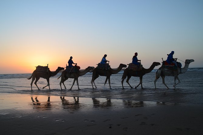 Essaouira 2-Hour Camel Adventure Ride - Starting at Parking Bab Marrakech