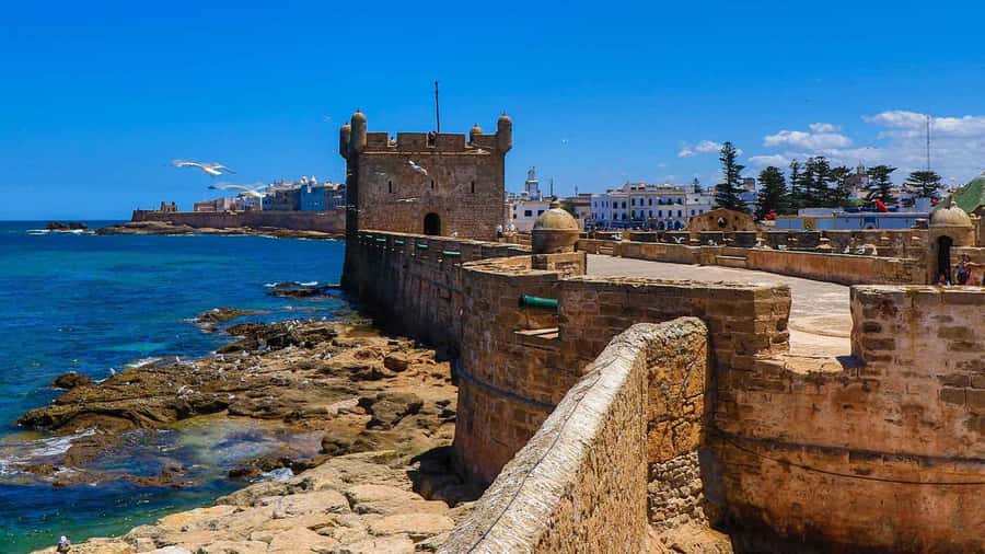 Essaouira: 2-Hour Camel Ride - My booking advice for Essaouira