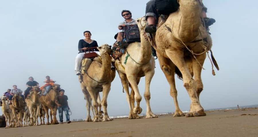 Essaouira: 2-Hour Camel Ride - Why a camel ride works so well in Essaouira