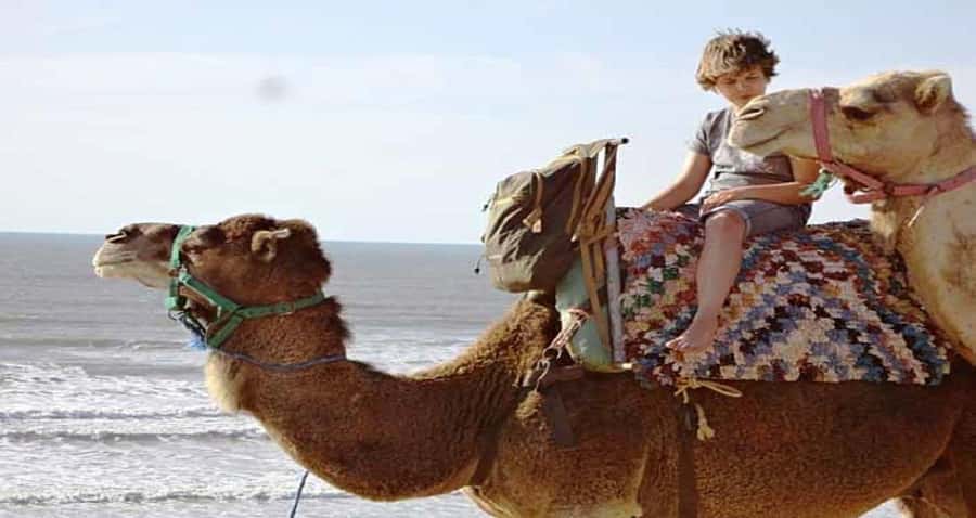 Essaouira: 2-Hour Camel Ride - What the two-hour route is really like