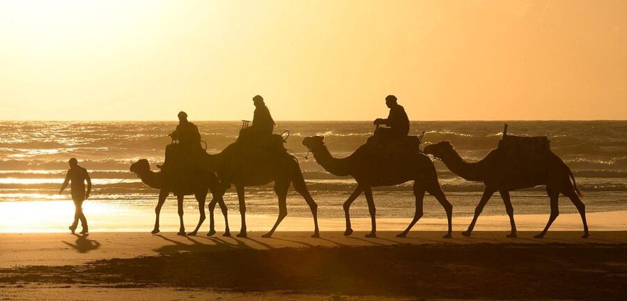 Essaouira: 2-Hour Camel Ride - Weather, clothing, and comfort
