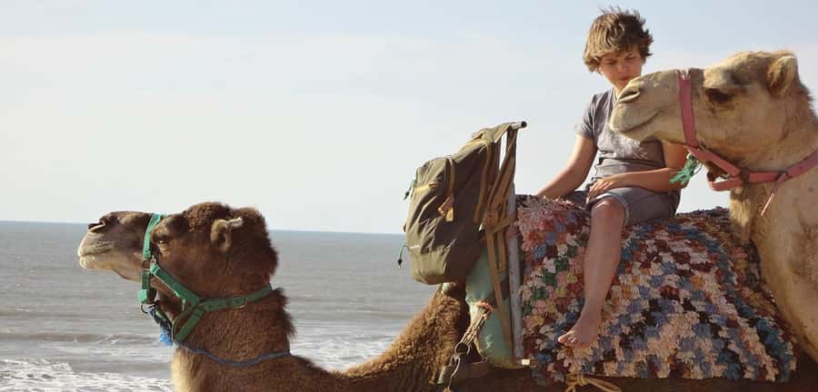 Essaouira: 2-Hour Camel Ride - Languages, timing, and cancellation flexibility