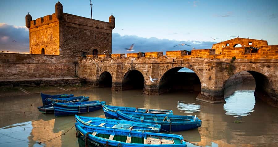 Essaouira: 2-Hour Camel Ride - Who will enjoy this ride most?
