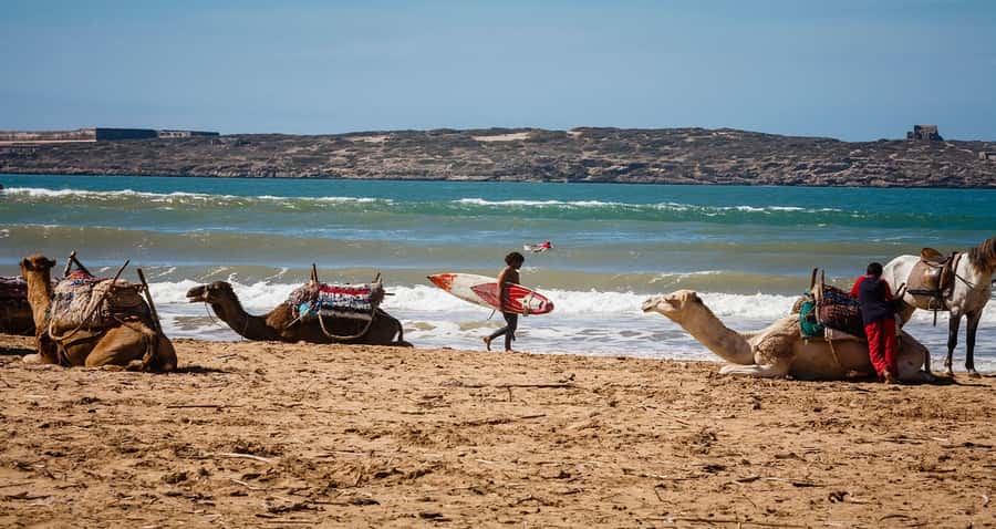 Essaouira: 2-Hour Camel Ride - From your Essaouira hotel to the camel stables