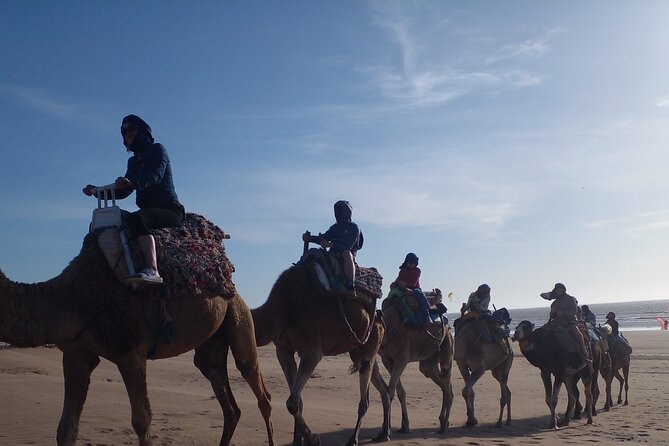 Essaouira: 2H camel/pick up and drop off including - Reaching the Camels From Essaouira