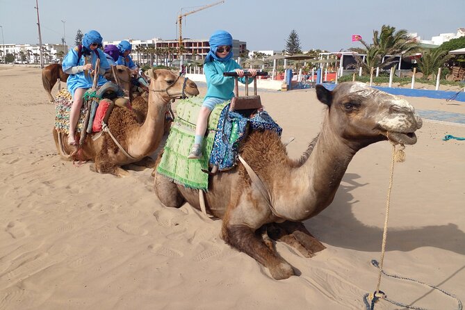 Essaouira: 2H camel/pick up and drop off including - Moroccan Tea and the Jimmy Hendrix Café