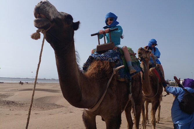 Essaouira: 2H camel/pick up and drop off including - Photos, Videos, and the Personal Touch