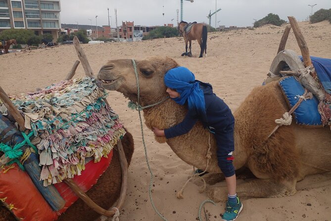 Essaouira: 2H camel/pick up and drop off including - Price, Value, and Who Should Book