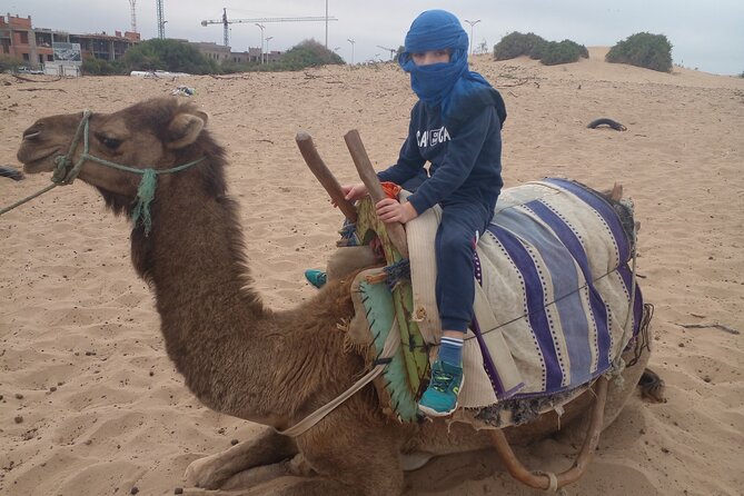 Essaouira: 2H camel/pick up and drop off including - The Beach Ride and Its Imperfections