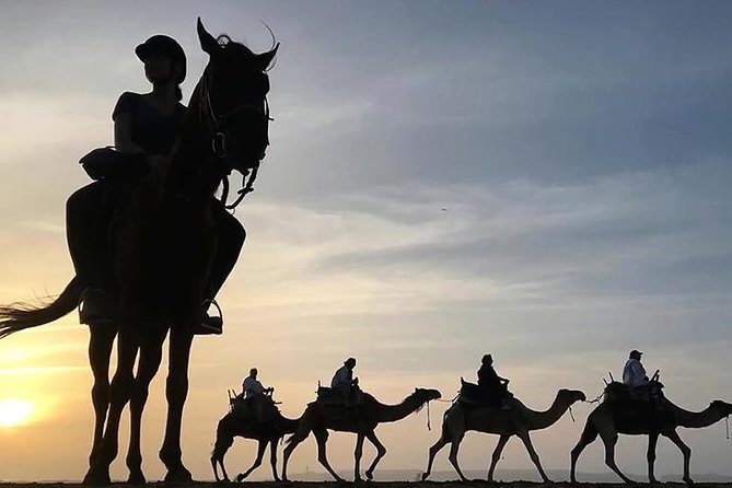 Essaouira Activities: Discover Essaouira by Quad - Key points to know before you book