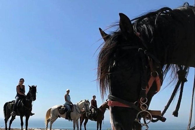 Essaouira Activities: Discover Essaouira by Quad - Following the Atlantic beaches