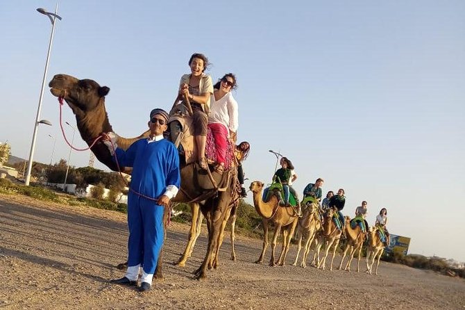 Essaouira Activities: Discover Essaouira by Quad - Is $46.34 a fair price?