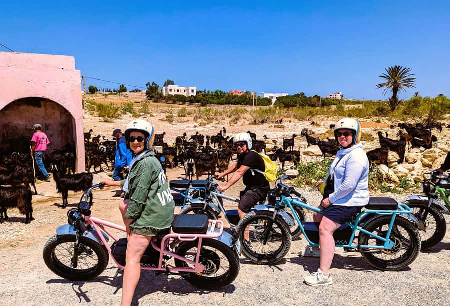 Essaouira: Area Highlights Guided E-Bike Tour - A pause in Essaouira’s old hippy village