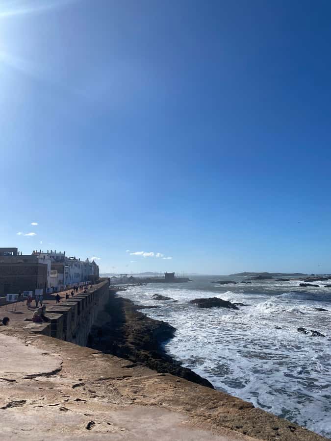 Essaouira City day Trip from Marrakech - The argan oil cooperative and what it adds