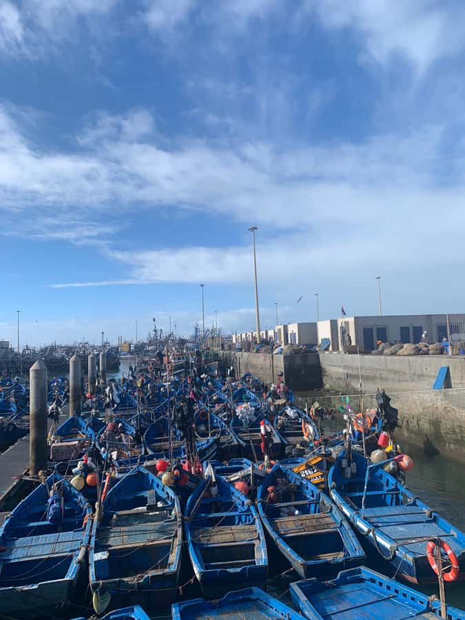 Essaouira City day Trip from Marrakech - Leaving Marrakech by comfortable minibus
