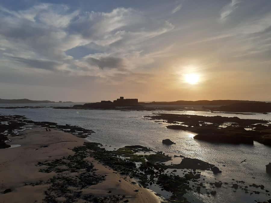 Essaouira Day Trip from Marrakech _ medina, old port - Guides, drivers, and the group experience