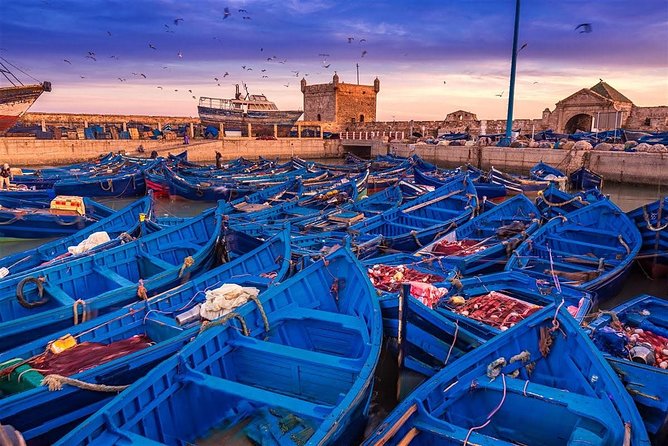 Essaouira excursion 1 day departure from Agadir - Key points to know before booking