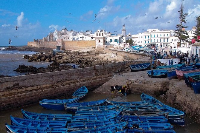 Essaouira Full-Day Excursion from Marrakech - The early Marrakech pickup and minibus ride