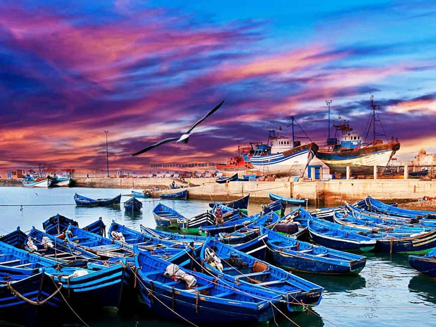 Essaouira Full Day Trip From Marrakech - What the $26 price really gives you