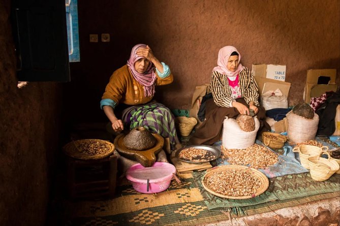 Essaouira Full Day Trip - Ounagha and the famous argan-tree goats