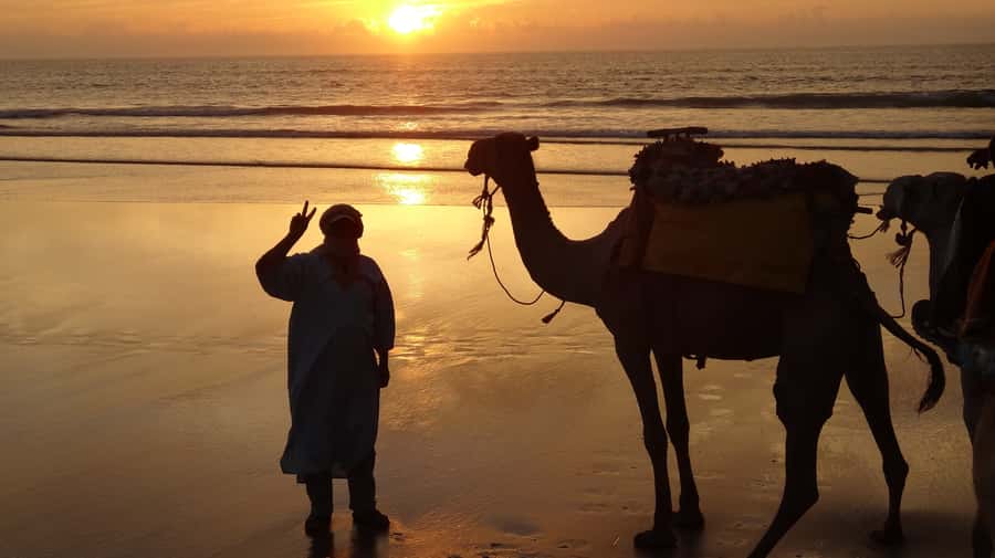 Essaouira: One Hour Dromedary Ride - Leaving Essaouira for the Ranch de Diabat