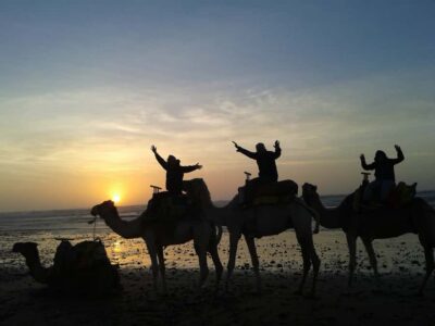 One Hour Dromedary Ride