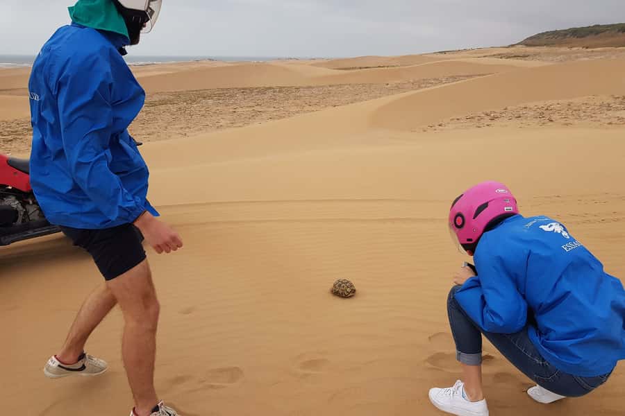 Essaouira P3: Quad tour forest beach dunes (free transfer) - Wide beaches and open coastal views
