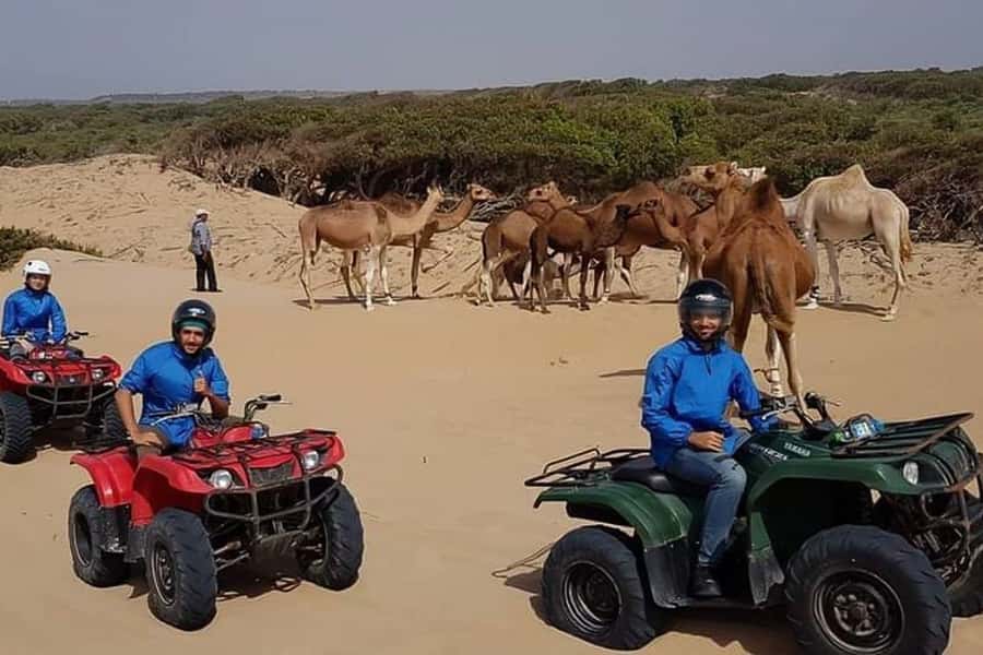 Essaouira P3: Quad tour forest beach dunes (free transfer) - Pine forest and a change of scenery