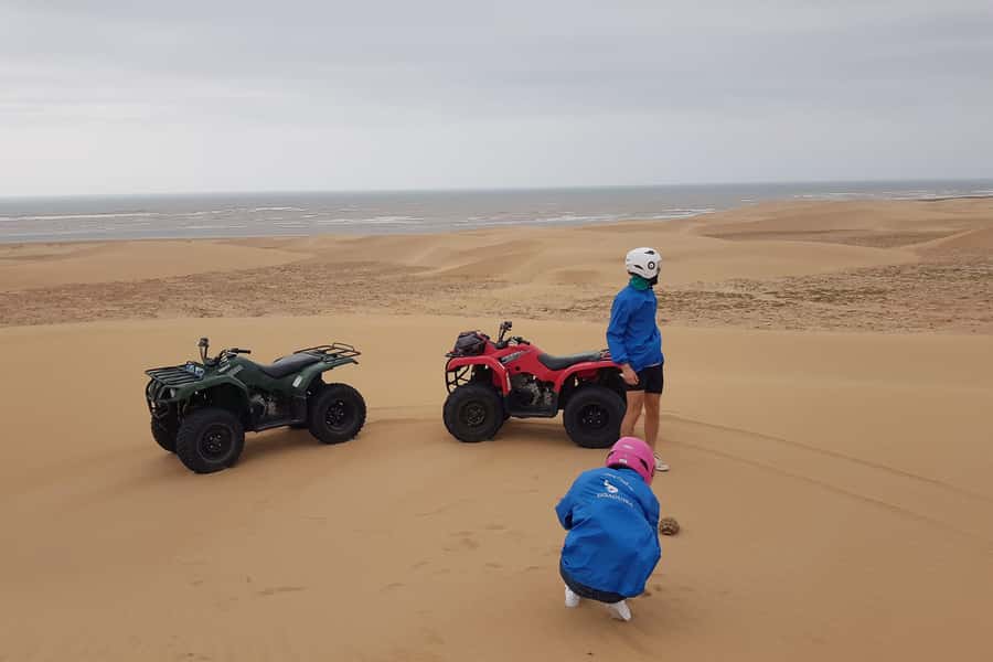 Essaouira P3: Quad tour forest beach dunes (free transfer) - Starting south of Essaouira by quad