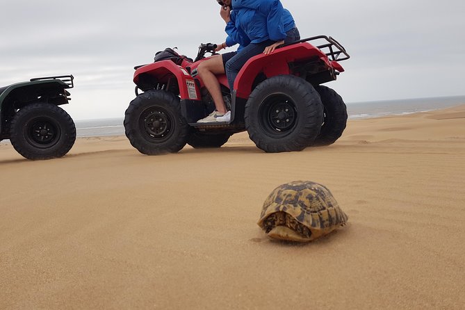 Essaouira: Pleasant Quad tour (free transfer) - Quick takeaways from the ride