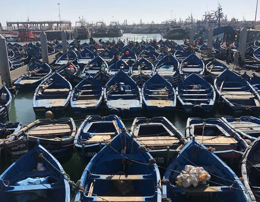 Essaouira: Private City Tour - Through the medina, kasbah, and Mellah