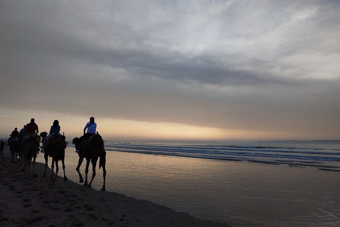 Essaouira Private Full Day Trip From Marrakech - Who should book this Essaouira day trip?