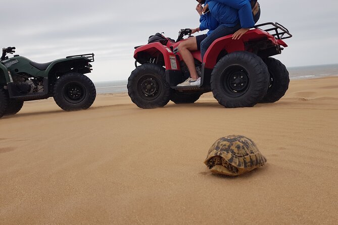 Essaouira: Quad ride / family & friends (free transfer) - From Essaouira toward Diabat and the dunes