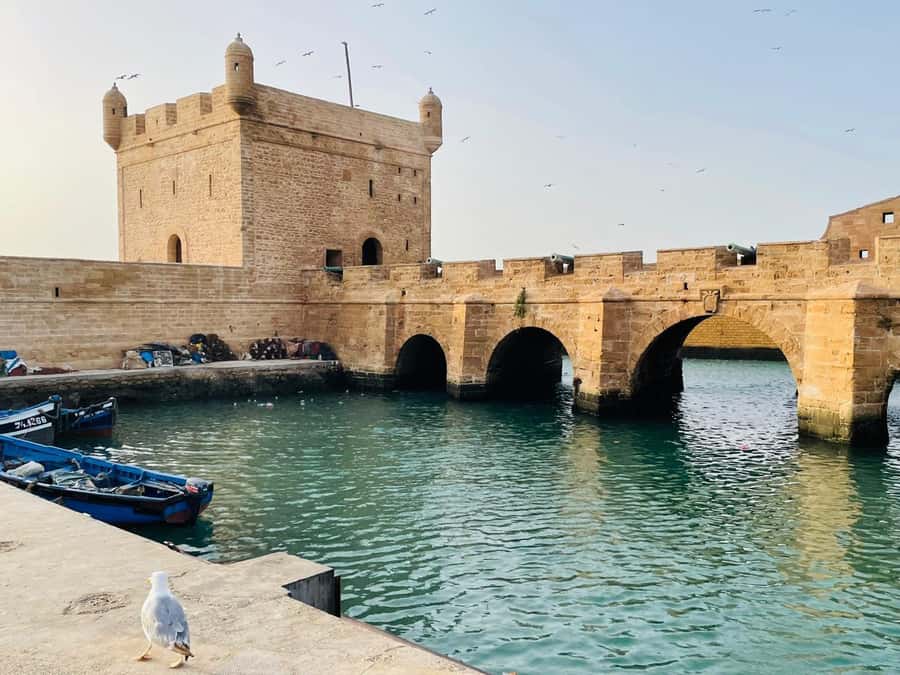 Essaouira: Sqala du Port, Citadel, Fish Market & Medina Tour - What $23 buys you