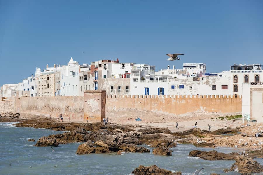 Essaouira: Sqala du Port, Medina Ramparts & Fish Market Tour - Thuja wood and silver craft workshops