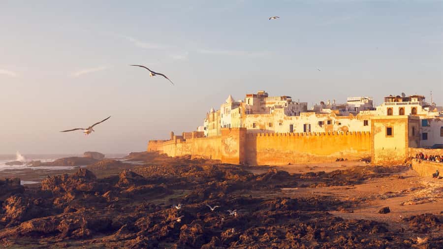 Essaouira: Sqala du Port, Medina Ramparts & Fish Market Tour - The port and fish market