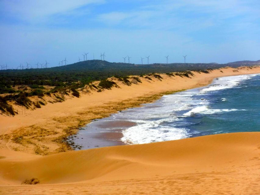 Essaouria: Beach & Big Dunes 2-Hour Quad Biking Tour - Tackling the big dunes of Cap Sim