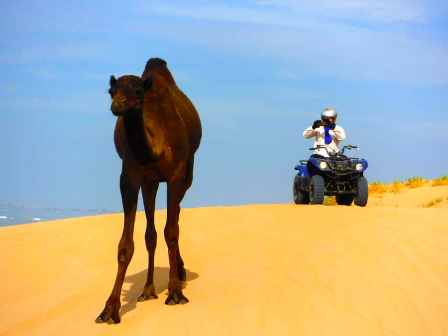 Essaouria: Beach & Big Dunes 2-Hour Quad Biking Tour - Why two hours is the right length
