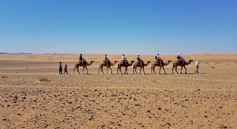 Evening Marrakech: Agafay Desert Quad , Camel & Dinner Shows - Who will enjoy this evening most