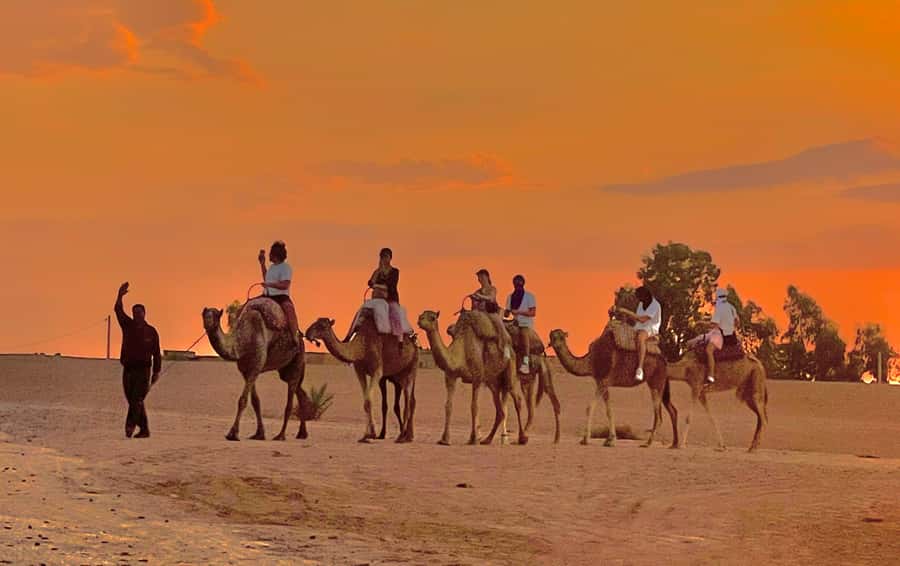 Evening Marrakech: Agafay Desert Quad , Camel & Dinner Shows - A short camel ride as the sun begins to fade