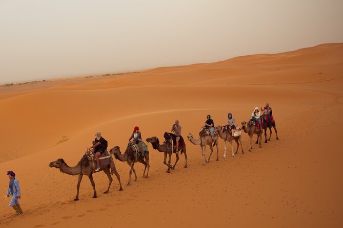 Exclusive! 2 Days Desert Trip Marrakech to Fez via Ait Benhaddou - Kasbah country, Ouarzazate, and the Valley of Roses