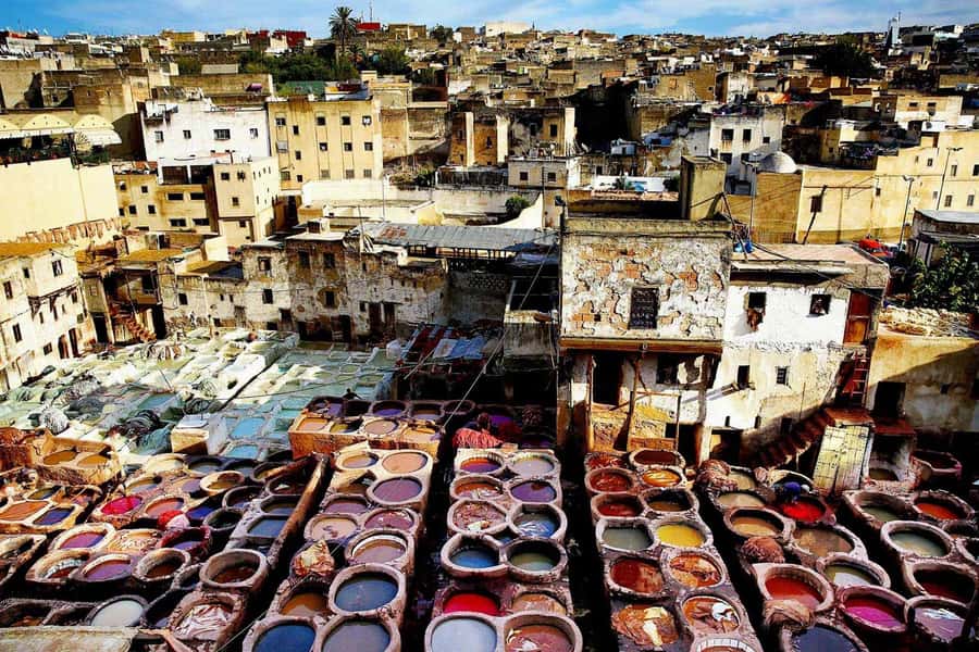 Exclusive Fez Medina Walking Tour with a local Guide - Al-Attarine Madrasa rewards close attention
