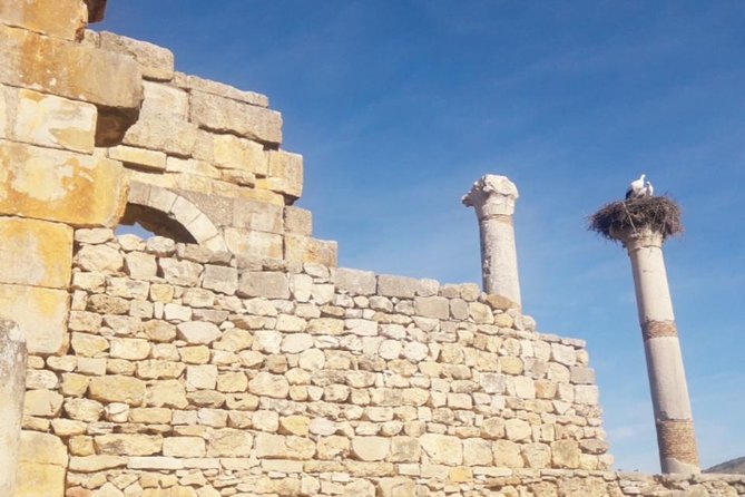 Excursion Meknes Volubilis - Drivers can shape the whole day