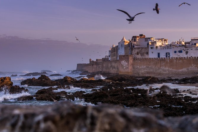 Explore Essaouira on a Day Trip from Marrakech - Why Essaouira makes a strong day trip from Marrakech