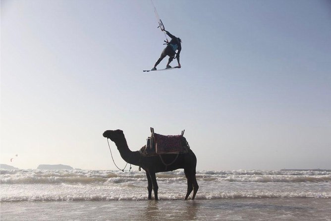Explore Essaouira on a Day Trip from Marrakech - Two hours beside the Atlantic